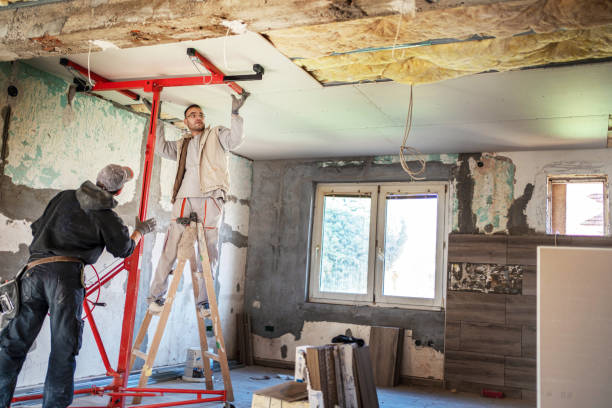 Best Geographic-Specific Insulation Services in Monticello, KY
