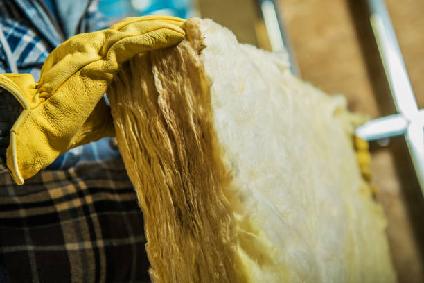 Best Cellulose Insulation in Monticello, KY